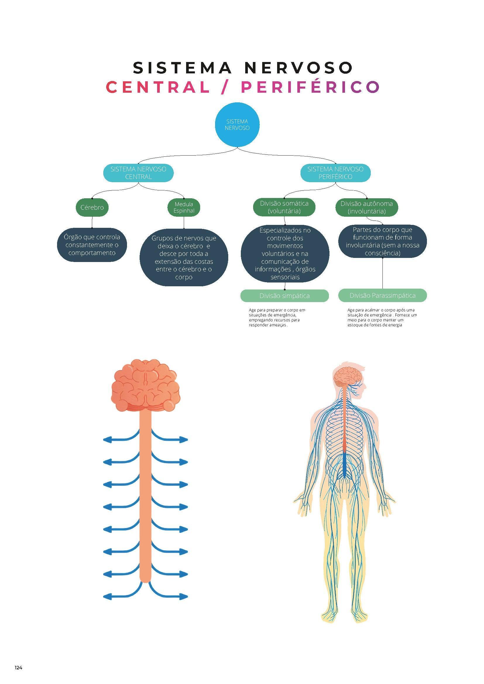 [05] PDF Manual Completo do Anatomia Energética - ®️