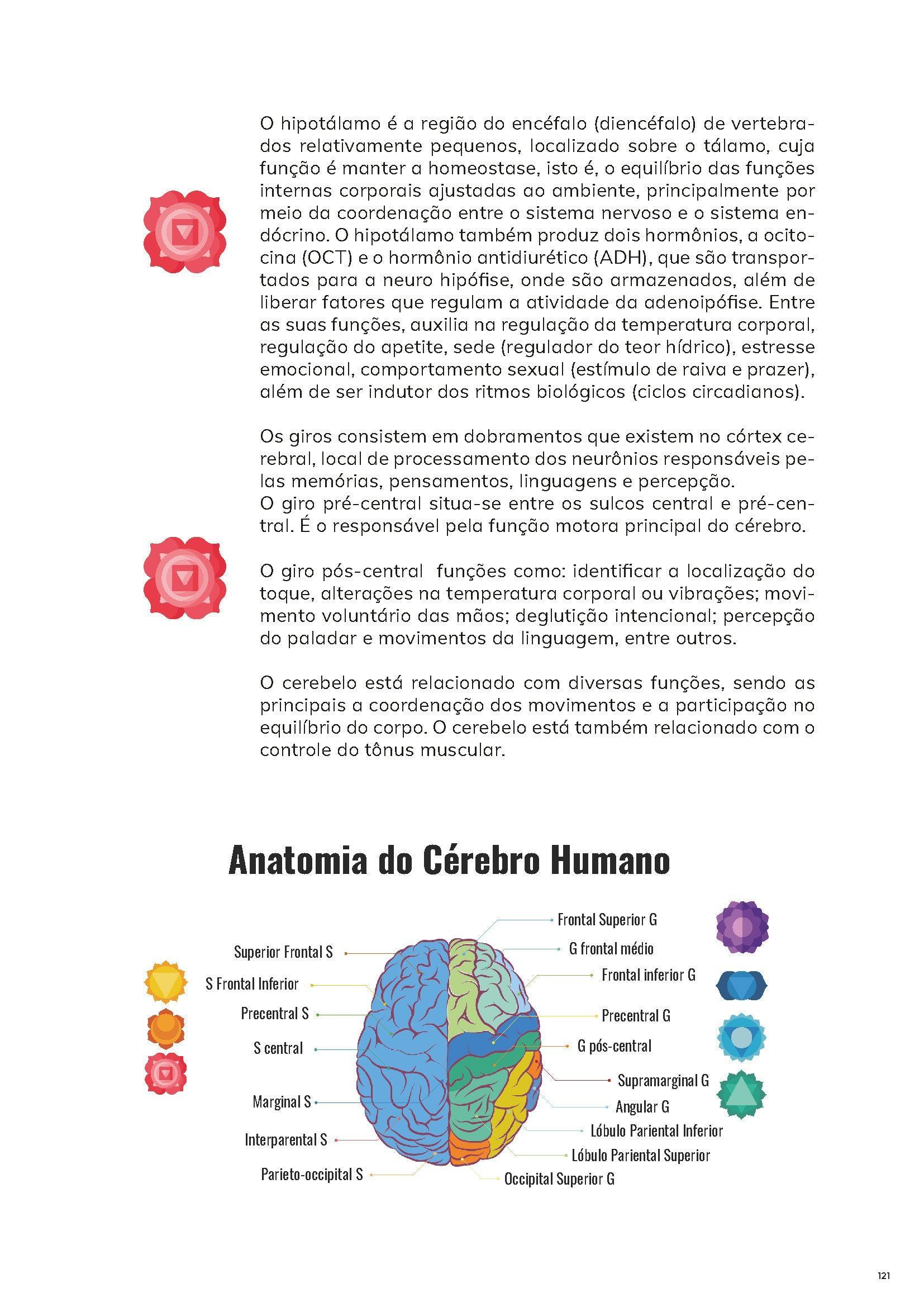 [05] PDF Manual Completo do Anatomia Energética - ®️