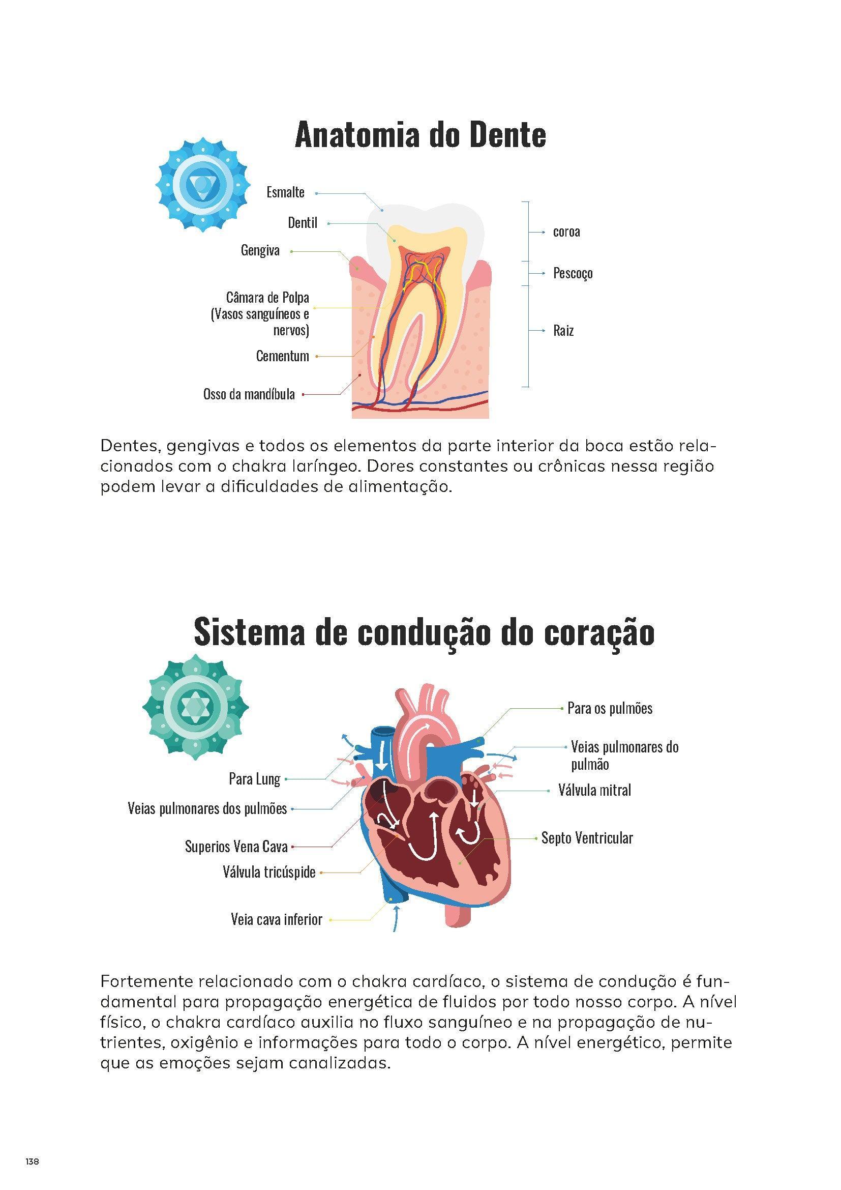 [05] PDF Manual Completo do Anatomia Energética - ®️