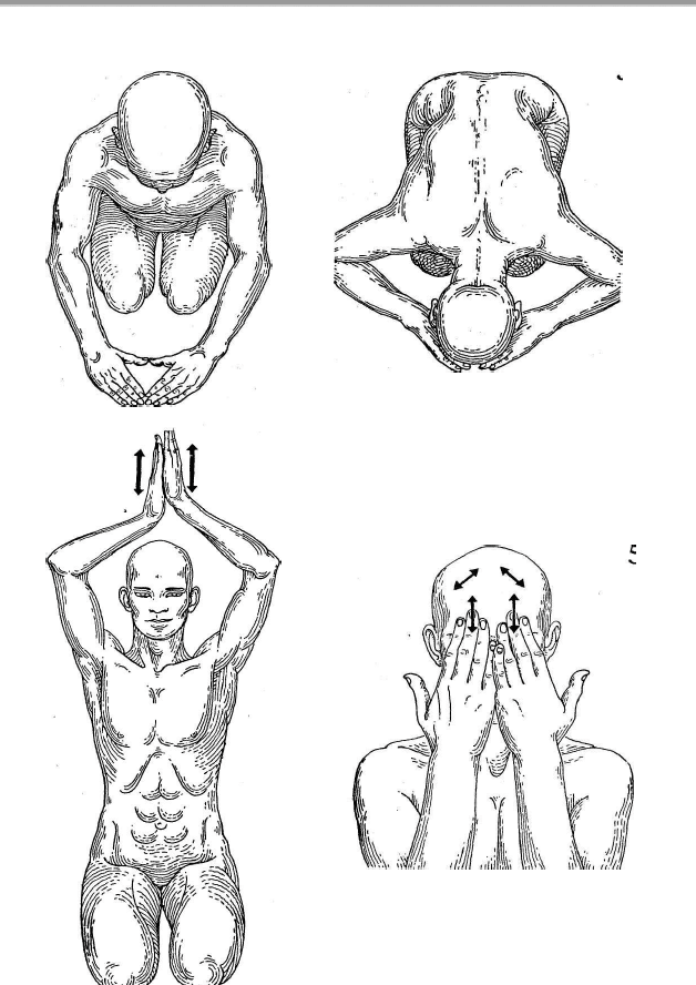 Curso de Formação Do-in