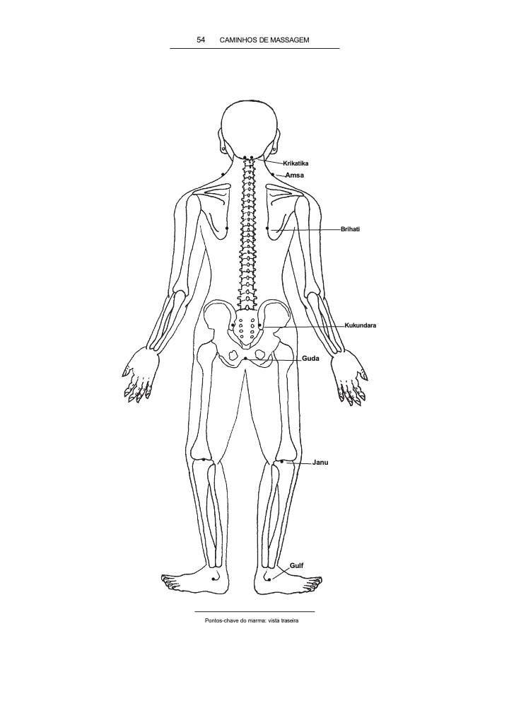 Curso de Formação Thai Yoga / Massagem Thailandesa