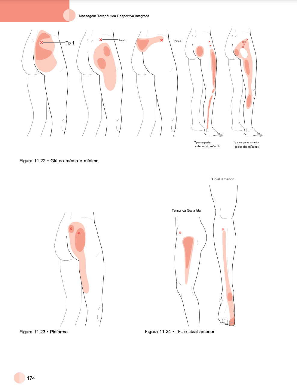 Curso de Massagem / Massagista / +25 Formações / EAD/ Profissional / R$97