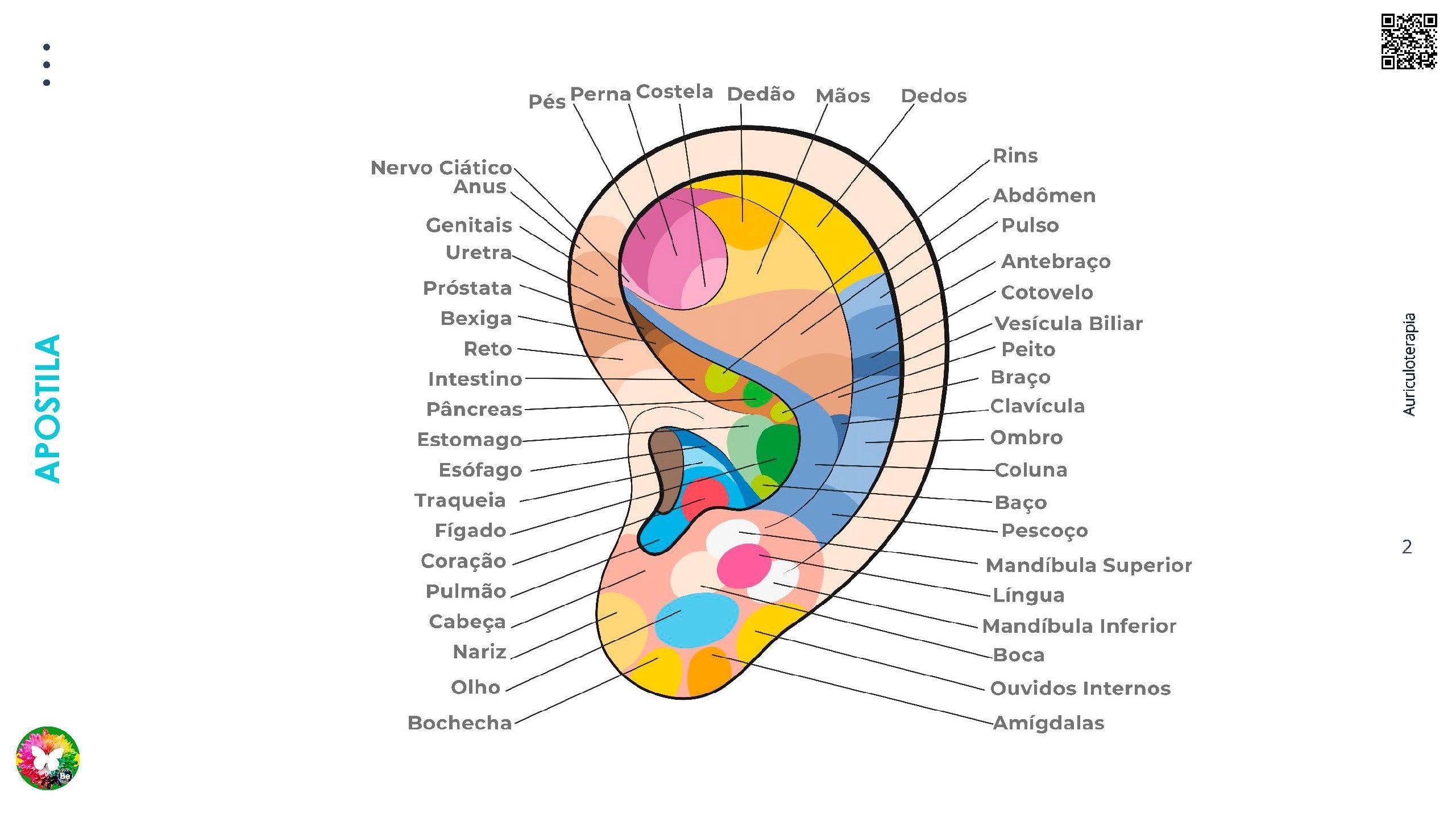 Apostila Auriculoterapia -