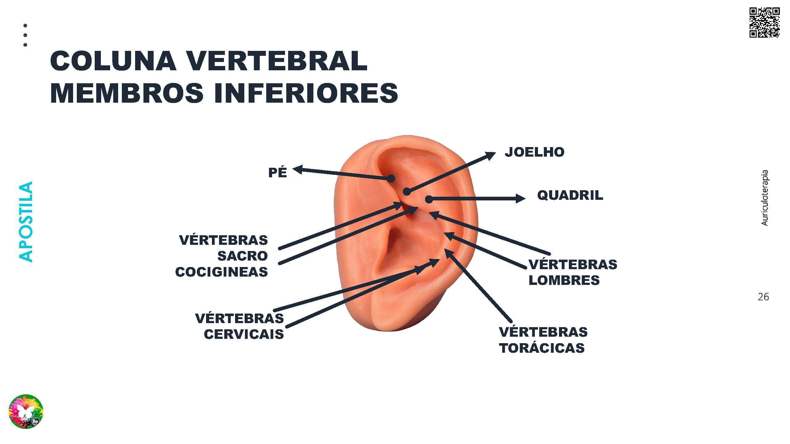 Curso de Formação Auriculoterapia Online ®