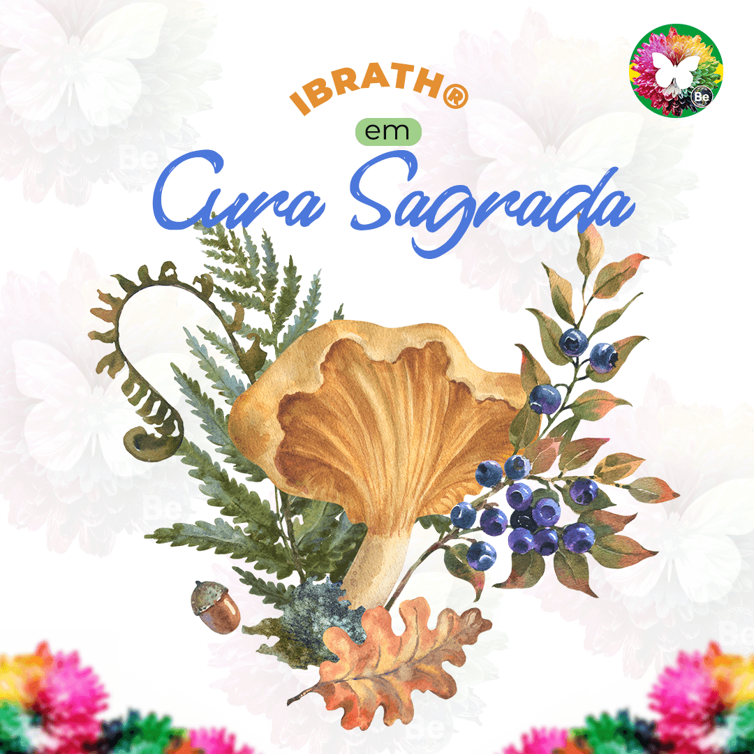 Formação / Curso Cura Sagrada: ayahuasca, Cogumelos, cactos, outros... -